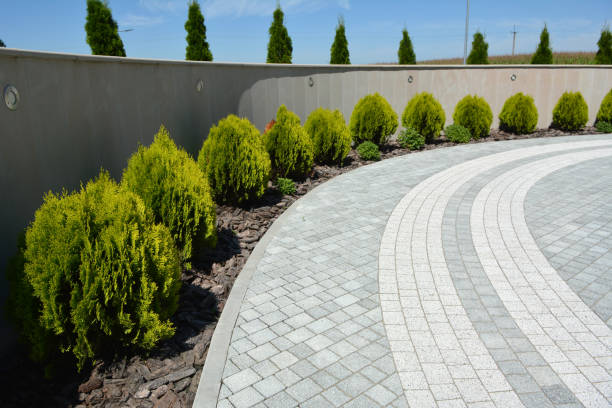 Best Professional Driveway Pavers  in Ogden, NC
